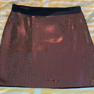 Banana Republic Sequined Skirt